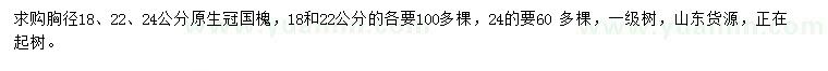 求购胸径18、22、24公分国槐