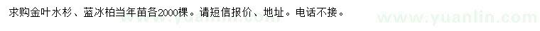 求购金叶水杉、蓝冰柏小苗