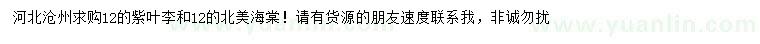 求购12公分紫叶李、北美海棠