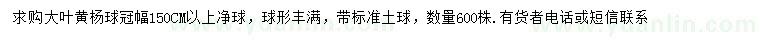 求购冠幅150公分以上大叶黄杨球