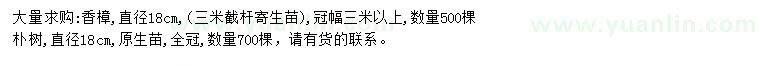 求购直径18公分香樟、朴树