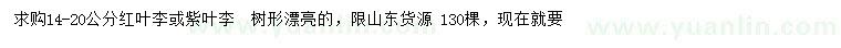 求购14-20公分红叶李、紫叶李