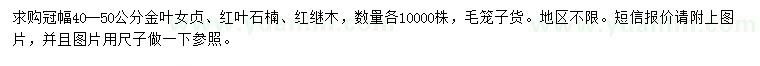 求购金叶女贞、红叶石楠、红继木