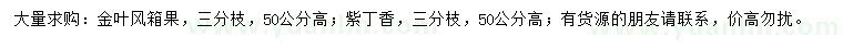 求购高50公分金叶风箱果、紫丁香