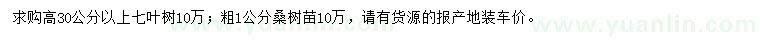 求购高30公分以上七叶树、粗1公分桑树苗