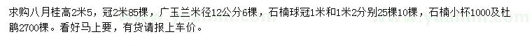 求购八月桂、广玉兰、石楠球等