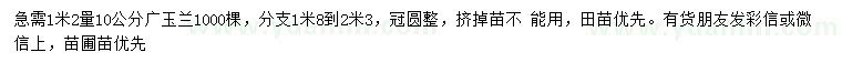 求购1.2米量10公分广玉兰