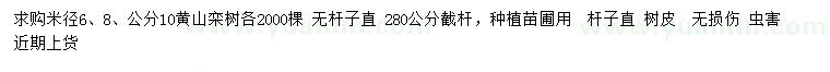 求购米径6、8、10公分黄山栾树