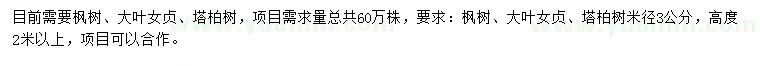 求购枫树、大叶女贞、塔柏