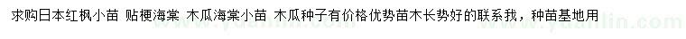 求购日本红枫、贴梗海棠、木瓜海棠等