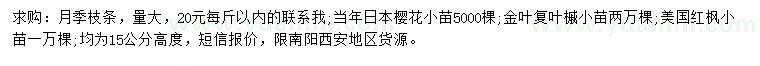 求购月季枝条、金叶复叶槭小苗、美国红枫小苗