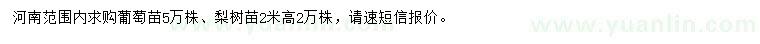 求购葡萄苗、高2米梨树苗