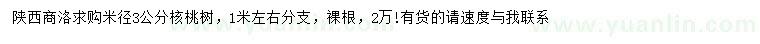 求购米径3公分核桃树