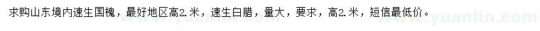 求购高2米速生国槐、速生白蜡