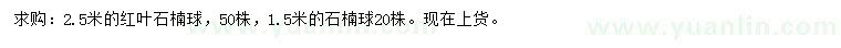 求购2.5米红叶石楠球、1.5米石楠球