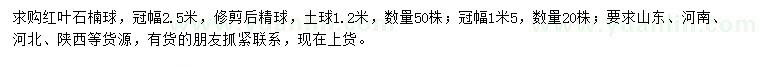 求购冠幅1.5、2.5米红叶石楠球