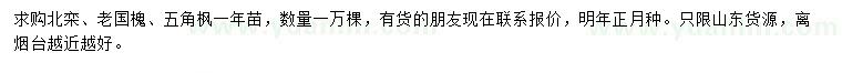 求购北栾、老国槐、五角枫