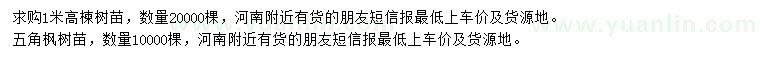 求购高1米楝树、五角枫