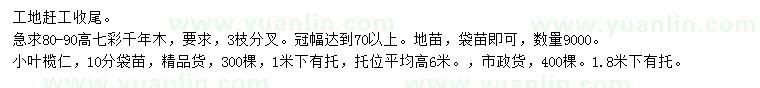 求购10公分小叶榄仁、高80-90公分七彩千年木