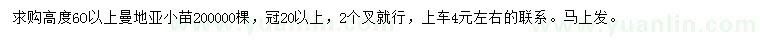 求购高60公分以上曼地亚红豆杉