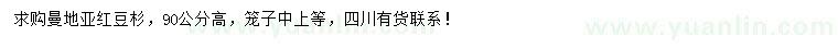 求购高90公分曼地亚红豆杉