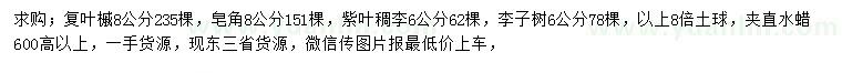 求购复叶槭、皂角、紫叶稠李等