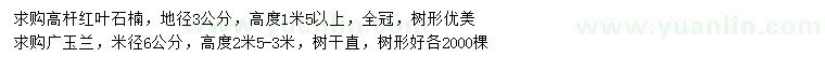 求购地径3公分高杆红叶石楠、米径6公分广玉兰