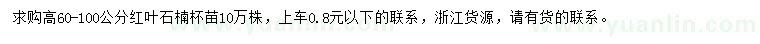 求购高60-100公分红叶石楠