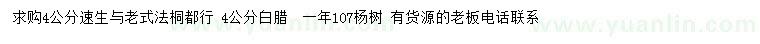 求购法桐、白腊、107杨树