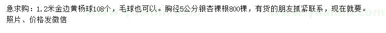 求购1.2米金边黄杨球、胸径5公分银杏