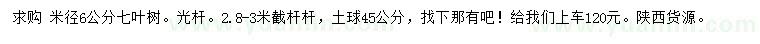 求购米径6公分七叶树