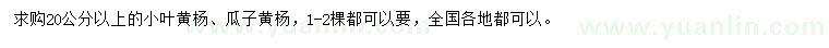 求购20公分以上小叶黄杨、瓜子黄杨