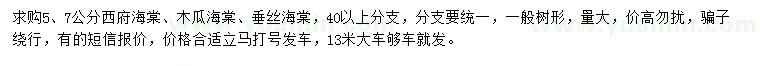 求购西府海棠、木瓜海棠、垂丝海棠