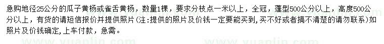 求购地径25公分瓜子黄杨、雀舌黄杨