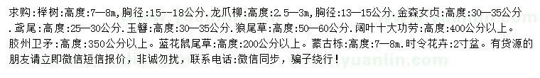 求购榉树、龙爪柳、金森女贞等