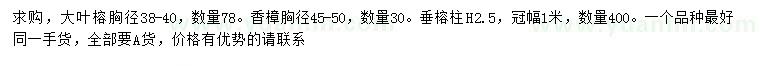 求购胸径38-40公分大叶榕、45-50公分香樟