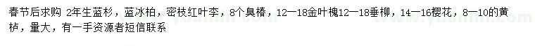 求购蓝杉、蓝冰柏、红叶李等