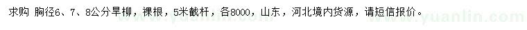 求购胸径6、7、8公分旱柳