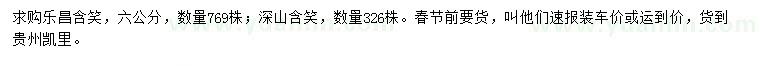 求购6公分乐昌含笑、深山含笑