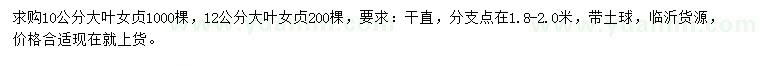 求购10、12公分大叶女贞