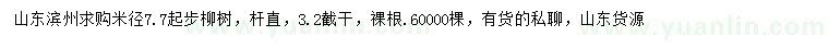 求购米径7.7公分以上柳树