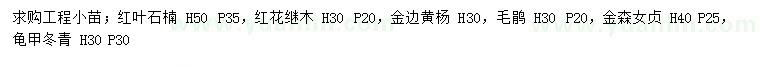 求购红叶石楠、红花继木、金边黄杨等