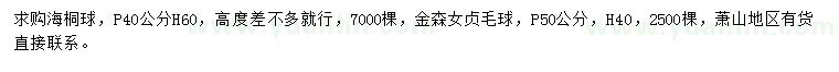 求购冠40公分海桐球、冠50公分金森女贞毛球