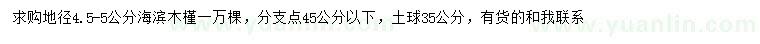 求购地径4.5-5公分海滨木槿