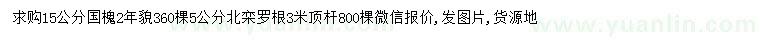 求购15公分国槐、5公分北栾