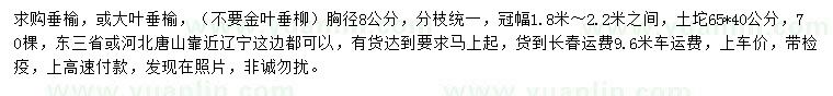 求购胸径 8公分垂榆、大叶垂榆