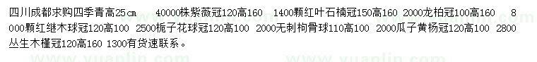 求购四季青、紫薇、红叶石楠等