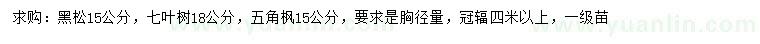 求购黑松、七叶树、五角枫