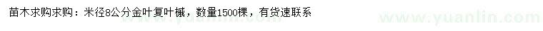 求购米径8公分金叶复叶槭