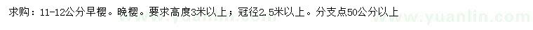 求购6公分日本早樱、晚樱